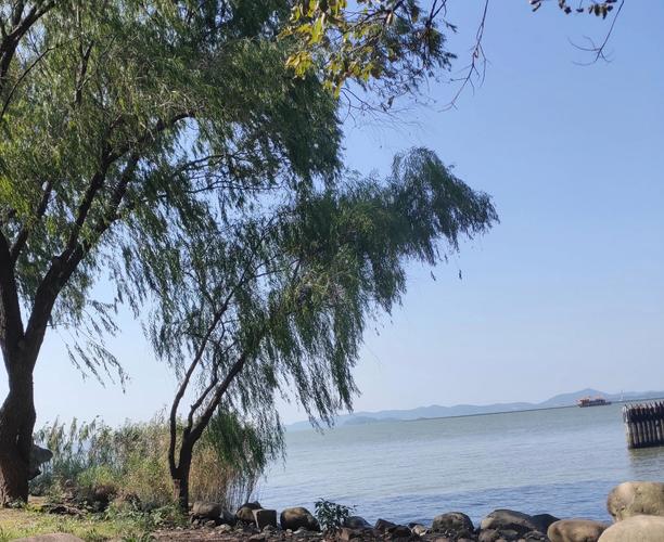 共读社 | 《时光深处,岁月静好》 朗读:高季伟 共读社 | 《时光深处,岁月静好》 朗读:高季伟