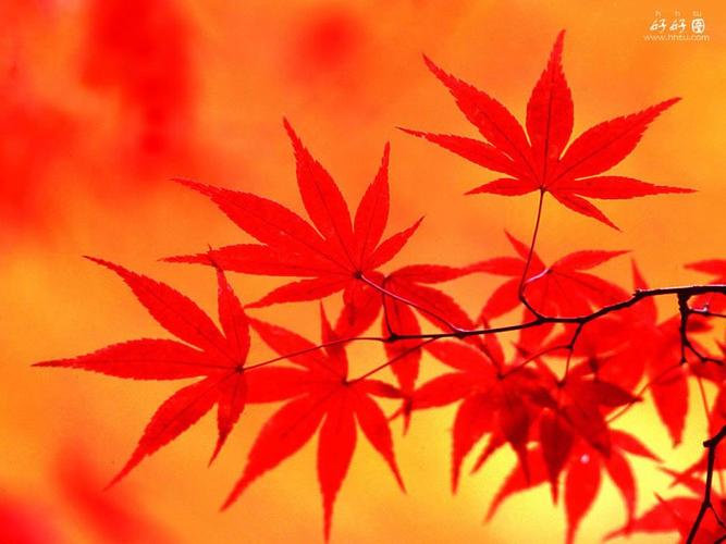 《 不可磨灭的历史记忆 》——安徽东至小三线采风系列之一:卫星化工 《 不可磨灭的历史记忆 》——安徽东至小三线采风系列之一:卫星化工
