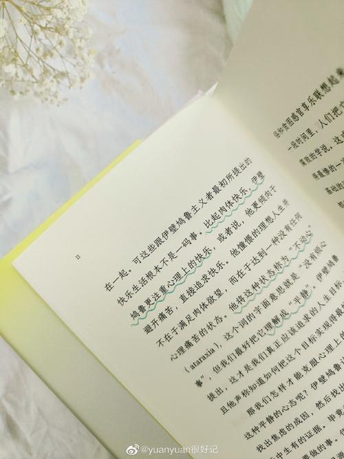 19:柯罗《孟特芳丹的回忆》《沙特尔大教堂》 19:柯罗《孟特芳丹的回忆》《沙特尔大教堂》
