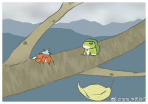 青蛙旅行故事 青蛙旅行故事