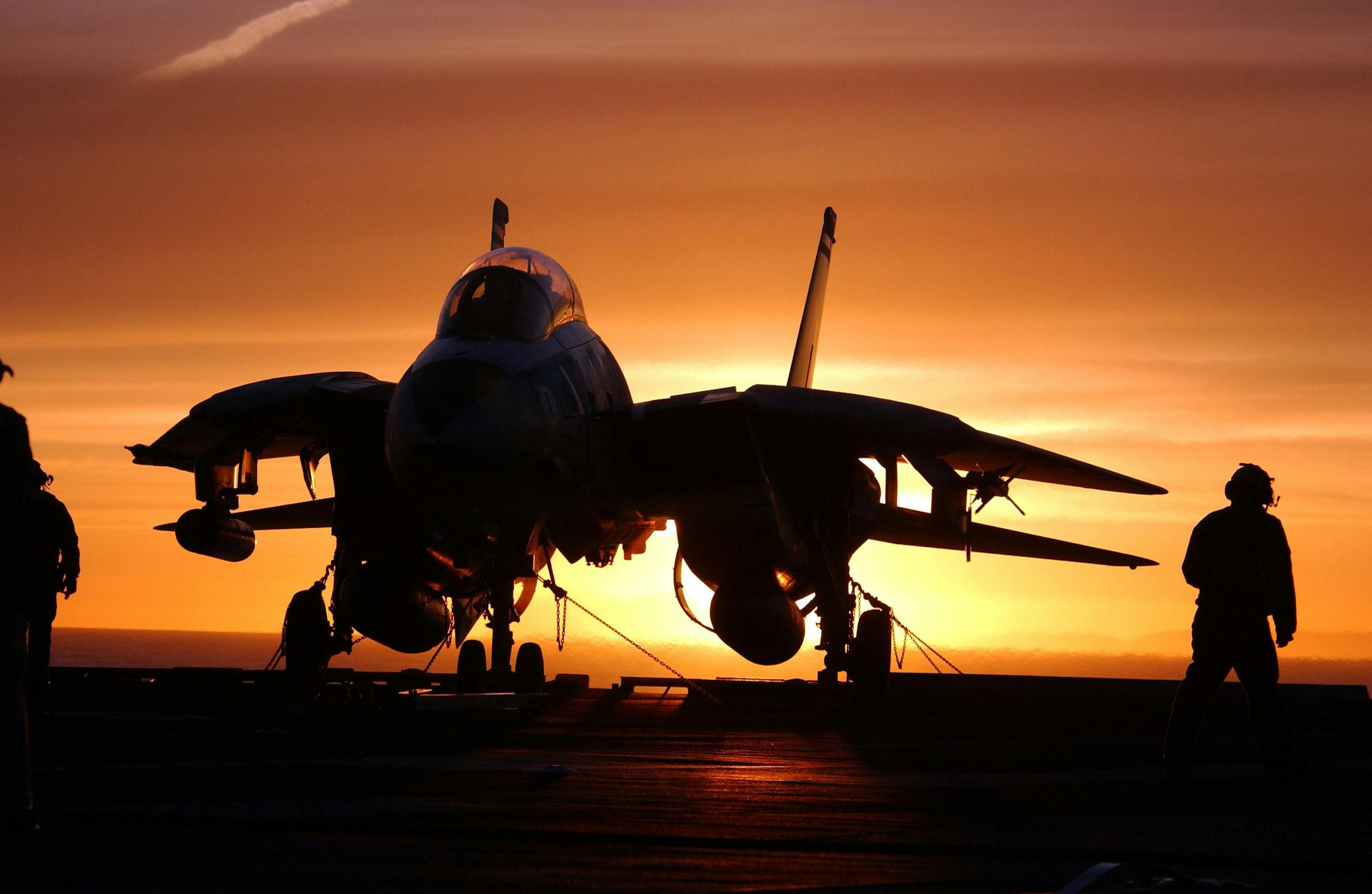 穿越时空的传奇，深度解析疯狂战斗机——F-14雄猫